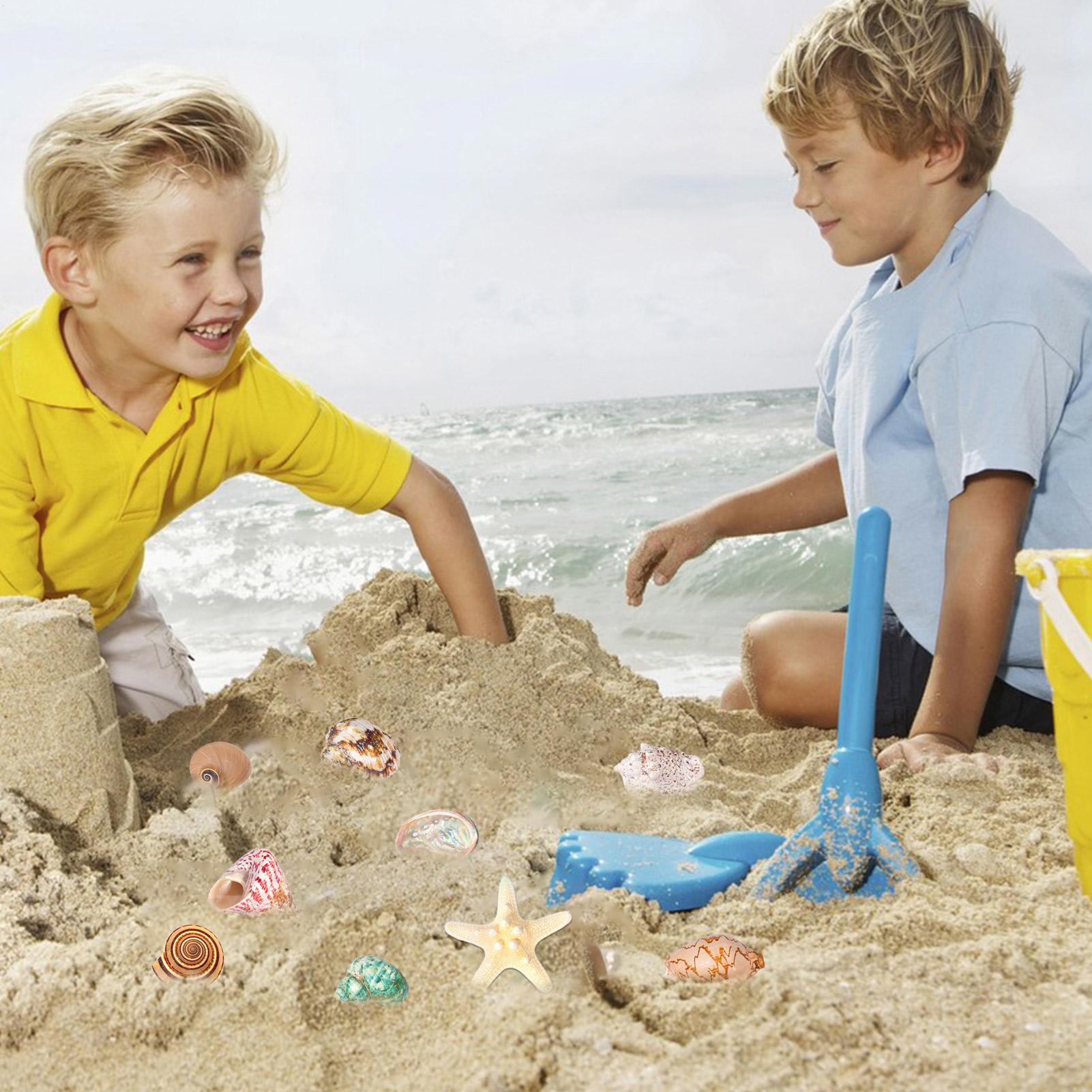 2025 Seashells Advent Calendar - đánh giá và giá Kids Toys Christmas 2025