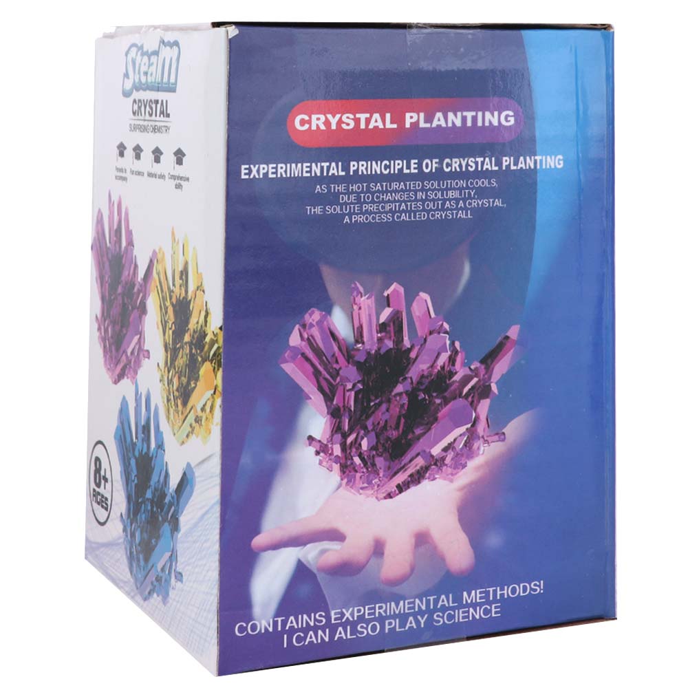 Grow a Crystal Crystal Growing - đánh giá và giá Science Experiment Kit
